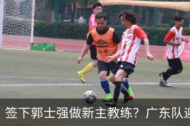 签下郭士强做新主教练？广东队迎来换帅机会，杜锋有望执教国家队